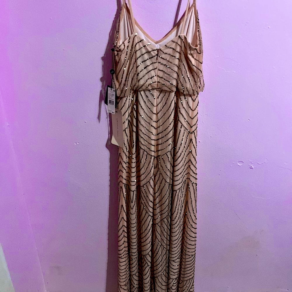 Adrianna Papell - long blouson dress -  beautiful and NWT